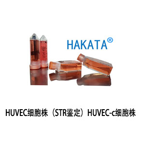 HUVEC细胞株（STR鉴定）HUVEC-c细胞株